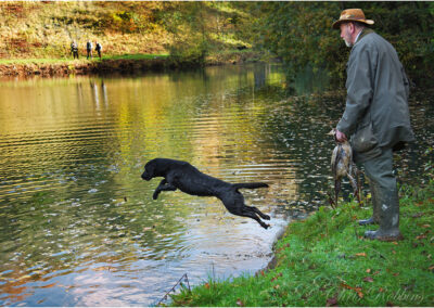 shooting,gun dog,dogs,action,blood sport,game,jump,fetch,gun,guns,jumping,leap,pickup,shoot,retrieve,Pheasant,country,leap,countryside,black Labrador retriever,lake,water,old quarry