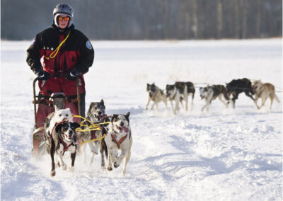 winter,cold,drift,drifts,weather,white,temp,low,temperature,view,outdoor,outdoors,elements,snow drifts,landscape,frozen,outside,Canada,Alberta,dog,dogs,pulling,race,racing,sledding,sled,snow winter,cold,snow,drift,drifts,weather,white,temp,low,temperature,view,outdoor,outdoors,elements,snow drifts,landscape,frozen,outside,Canada,Alberta,dog,dogs,pulling,race,racing