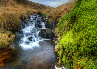 Dartmoor,Devon,National Park,Lyd,river,stream,mountain stream,moor,fast flowing,star moss,view,outdoor,destination,outdoors,elements,landscape,scenery,scenes,uk,scene,moors,rock,rocks,granite,moorland,England,english,rocky,gb,park,national,land,UK,county,countryside,west country,united kingdom,windswept,winter,river Lyd,moss,green,water,flow,flowing,weather,waterfall