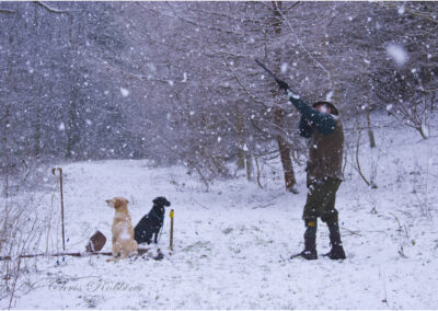 Shooting,snow,winter shooting scene,gun dogs,snowy,cold,white,Devon Shoot,west country,shooting,shotgun,12 bore,20 bore,Black Labrador,yellow Labrador,Lab,Black Lab,Yellow Lab,country pursuit,Country sport,Winter Scene,on the peg,crooked walking stick.